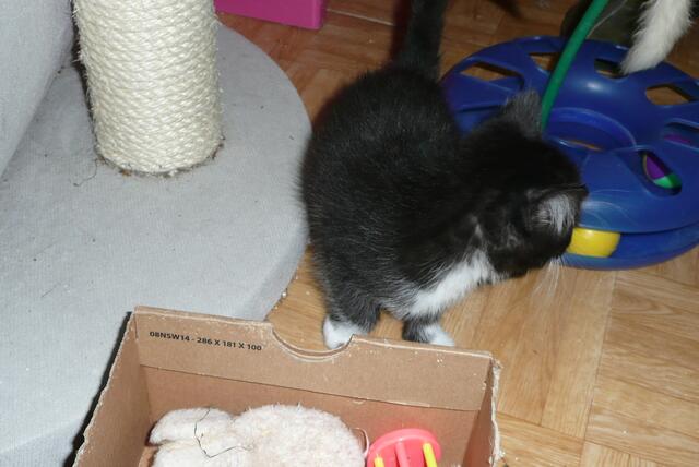 ich seh dich nicht, du siehst mich nicht