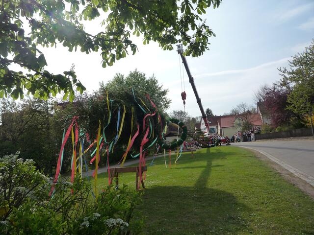 Maibaumfest 2010