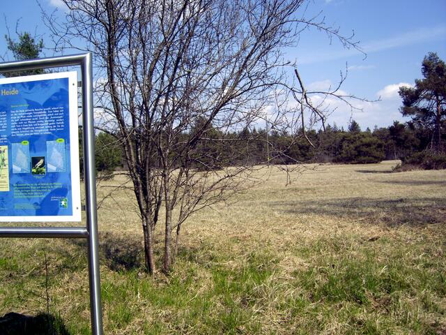 So sieht die Heide jetzt (Ende April) noch aus, dies wird sich aber rasch ändern ...