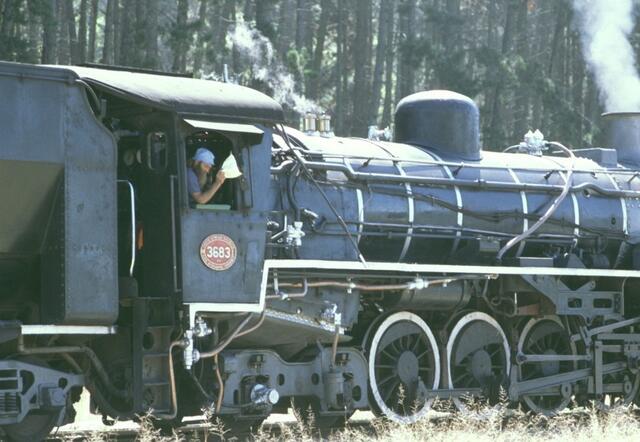 Die Lok an der Garden Route