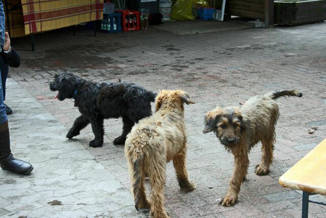Unsere Babys