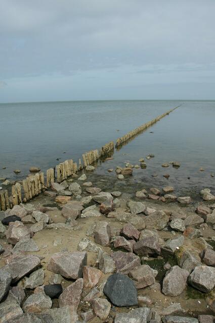 Ja, Herr, ich folge Dir, den Weg, den Du mich führst, den Weg, der gut für mich ist. In der Ruhe liegt die Kraft!