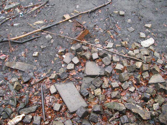 Sollte hier der Teich zugepflastert werden?