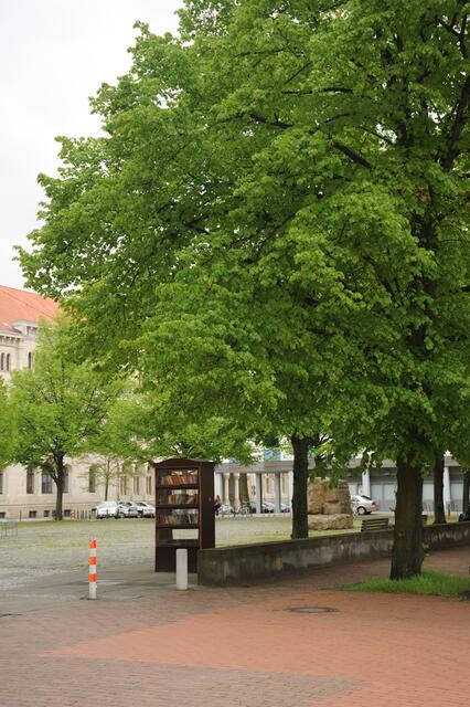 Das Blätterdach schützt jetzt vor Regen