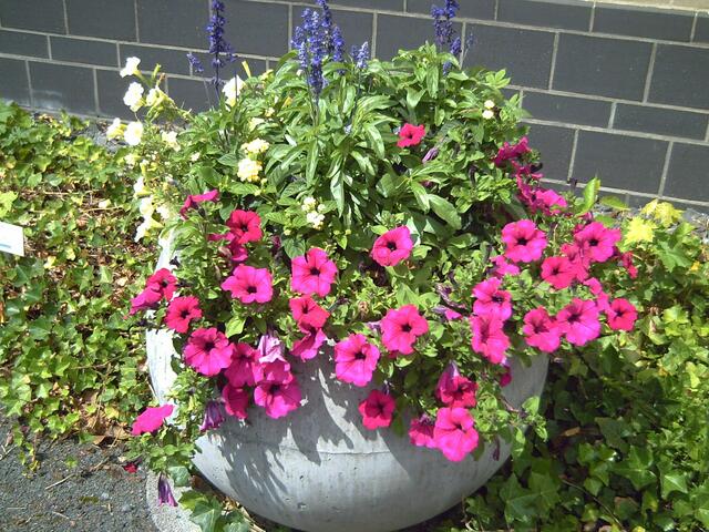 Aufgenommen im letzten Sommer im Kurpark Bad Wildungen