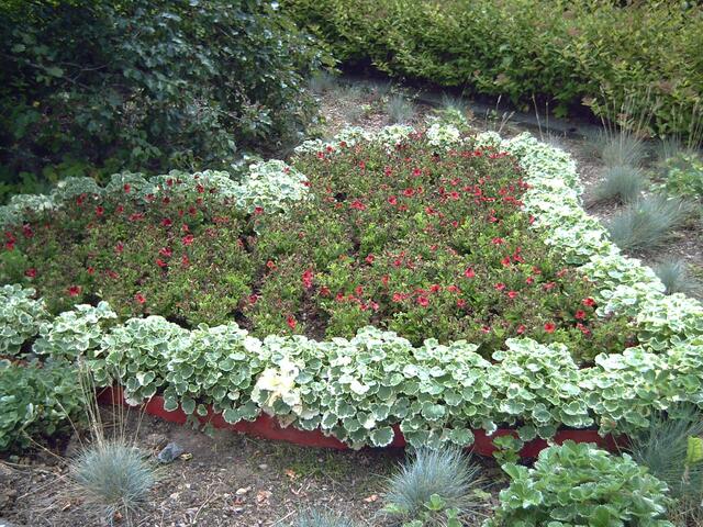 Fotografiert im Kurpark vorigen Sommer in Bad Wildungen