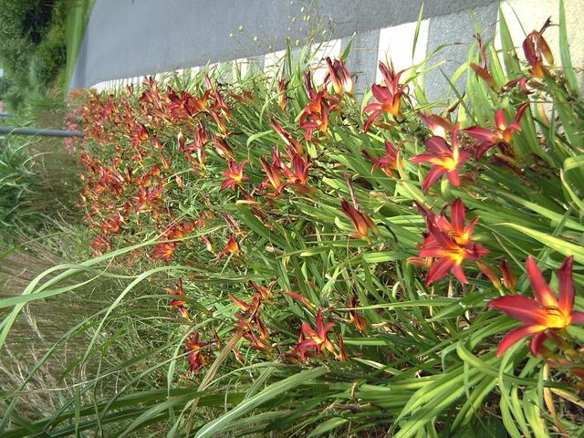 Fotografiert im Kurpark Bad Wildungen