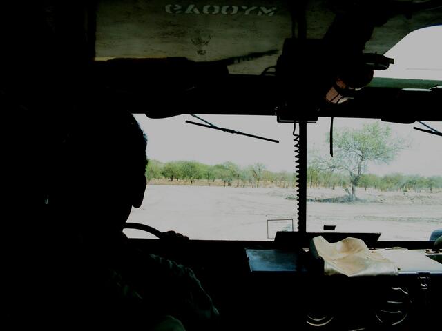 Links der Fahrschüler (Trainee)