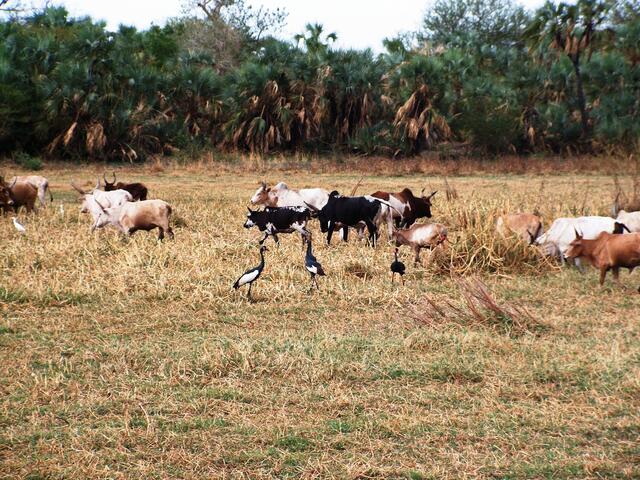 Aufnahme während der Fahrt