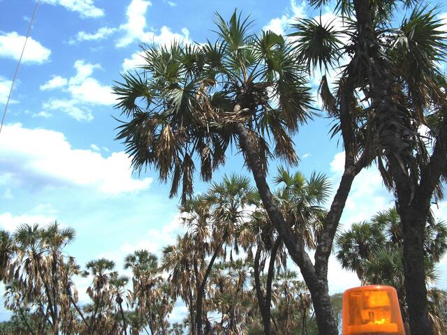 Durch die offene Klappe geblickt.