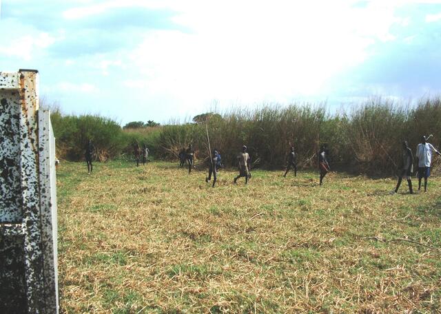 Die Jungen laufen hinterher.