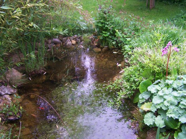 Die Wanne ist voll...