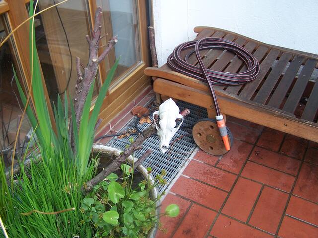 Wann wird es wieder Sommer?