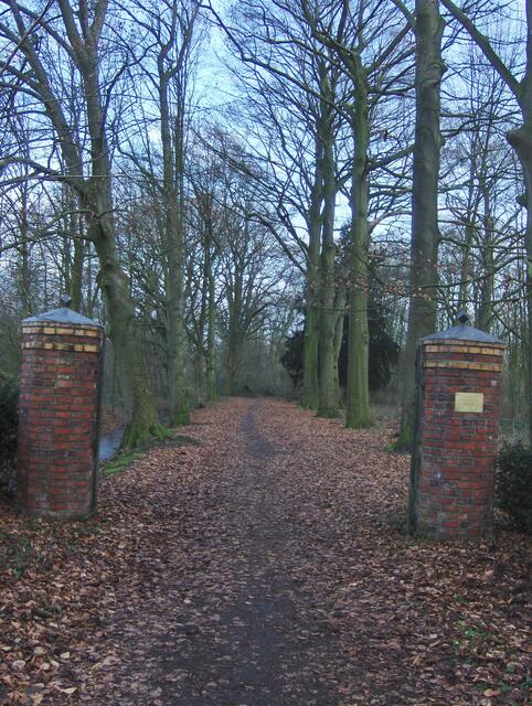 Der Treffpunkt: Rigauds Busch in Hamminkeln | Foto: NAJU Johannes Kleinherbers