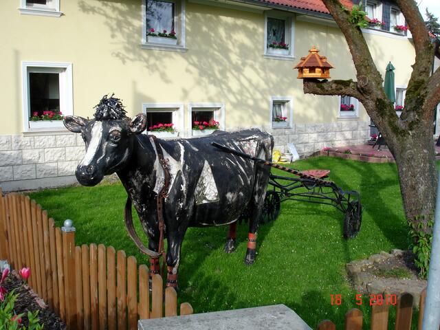 Wer beobachtet uns denn da?
