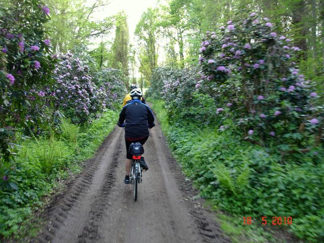 Fahrt durch den Rhododendronpark