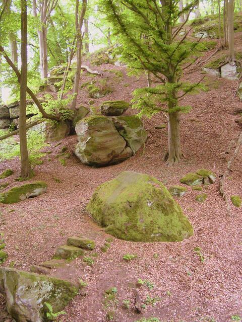 ...wie Murmeln liegen die Brocken im Wald
