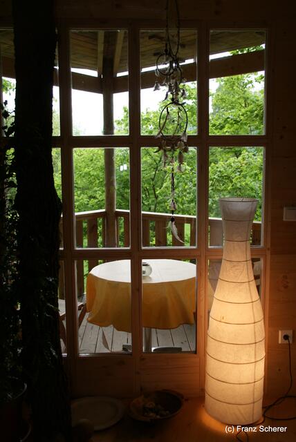 Blick auf die Veranda in den Baumwipfeln ...