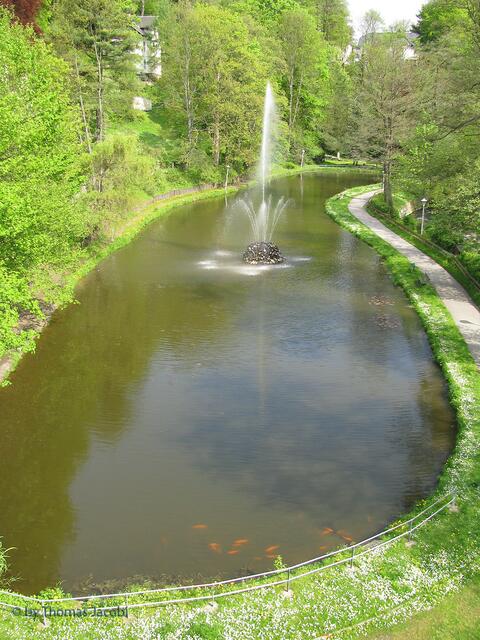 Der Tecih mit Fontäne und Fischen im Waldschlößchenpark Annaberg-Buchholz.
