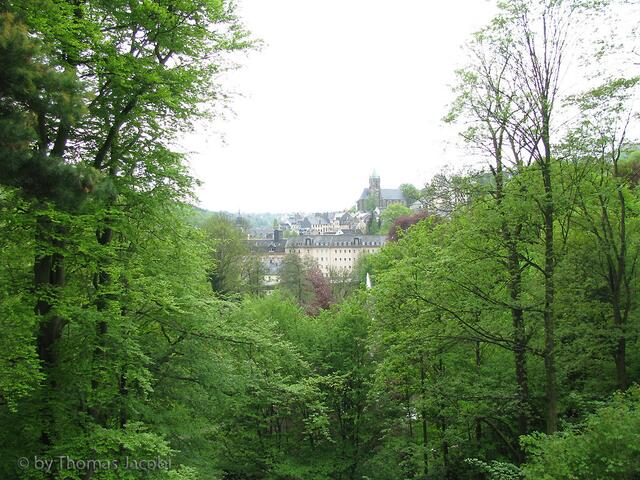 Blick über den Waldschlößchenpark nach Buchholz.