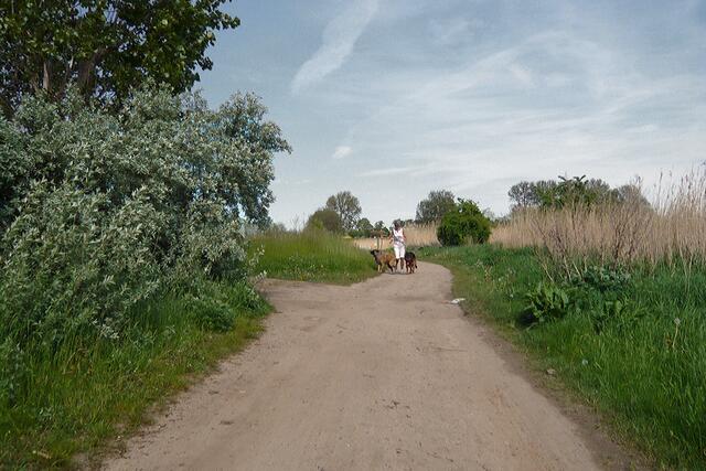 Breite Wander- und Radwege in der Nähe des Hafens