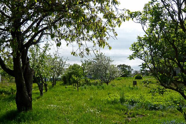 Gartenlandschaft bei Kirchdorf
