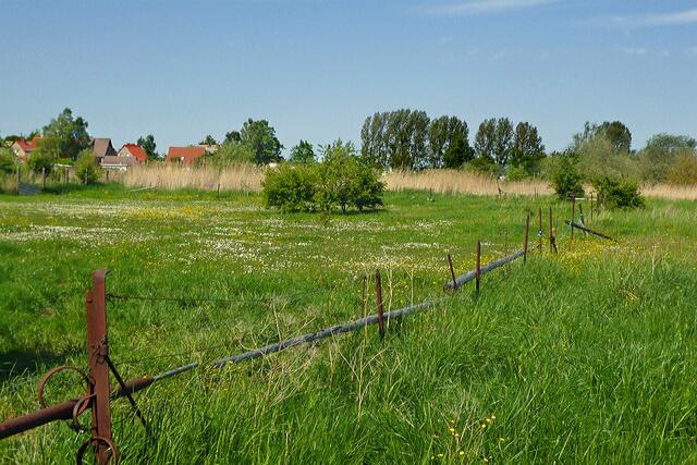 Auf der Wanderung um das nördliche Ende des Kirchsees