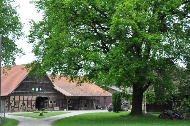 Sehenswürdigkeit in Altmerdingsen -  Der „Scheckersche Hof" in der Schilfbruchstraße