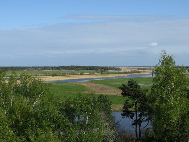Boddenlandschaft am Prerower Strom