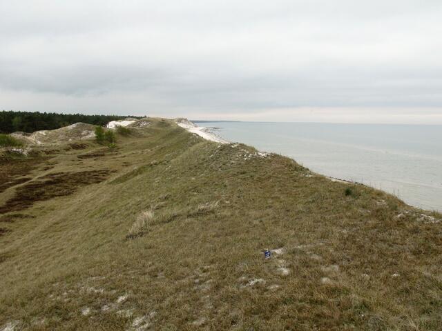 Ostsee und Dünenlandschaft im Zingster Schutzgebiet