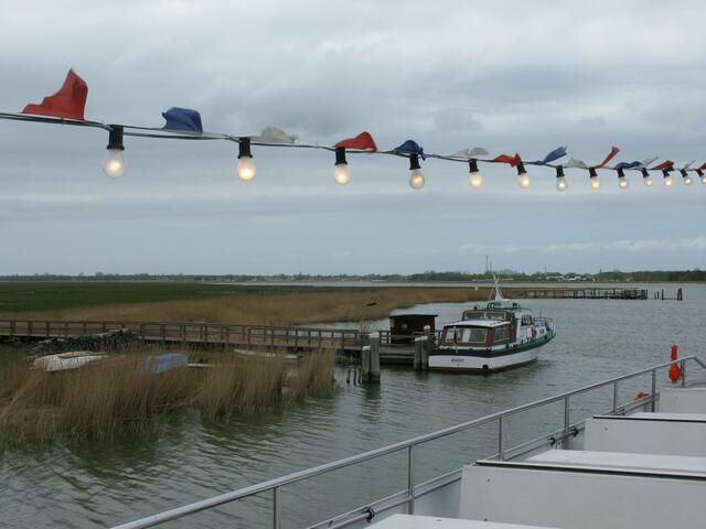 Vogelschutzinsel Große Kirr und Zingster Strom