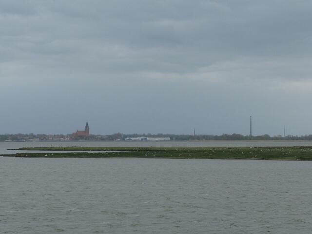 Große Vogelschutzinsel Kirr und Bodden