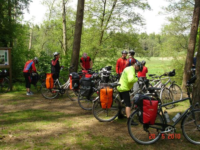 Rast im Wald