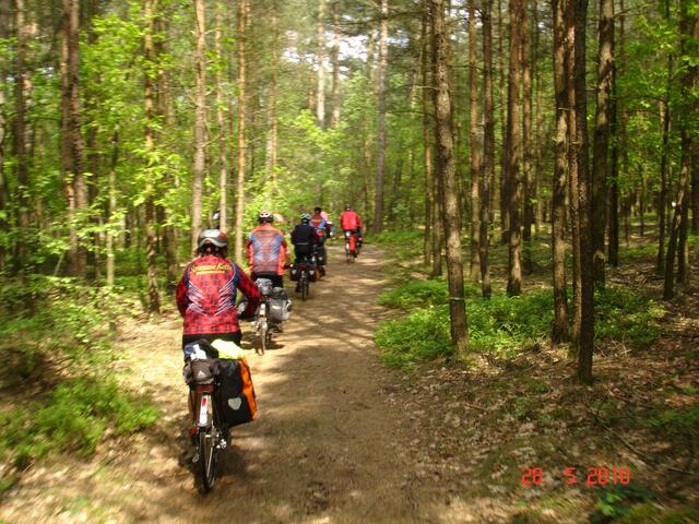 Sandige Waldwege