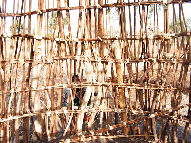 Die Äste werden verknotet.