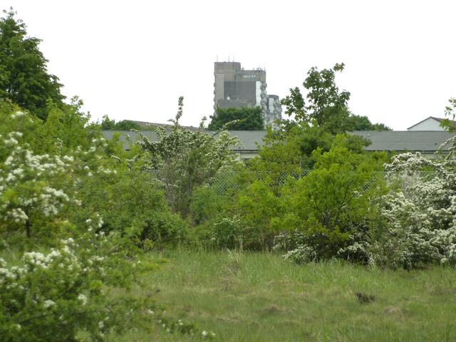 Blick auf ein Vahrenheider Hochhaus
