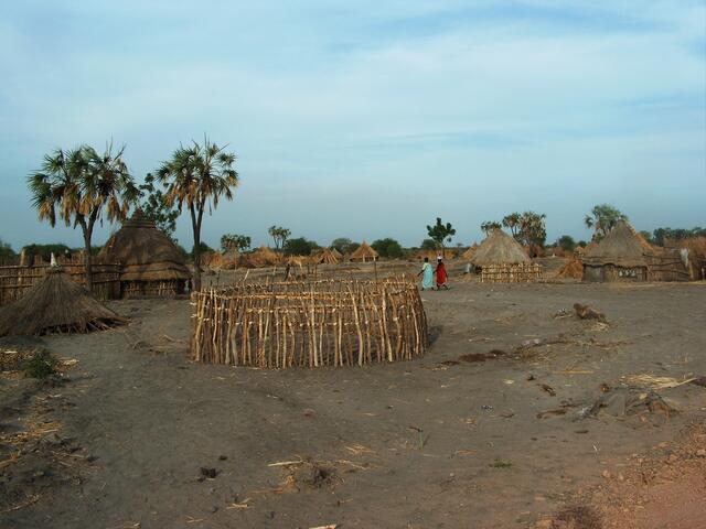 Die Äste feststampfen und verflechten.