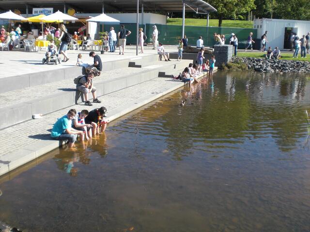 Abkühlen im Teich des Heinz-Lang-Parks