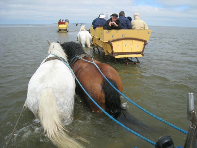 In diesem Priel steht das Wasser noch hoch