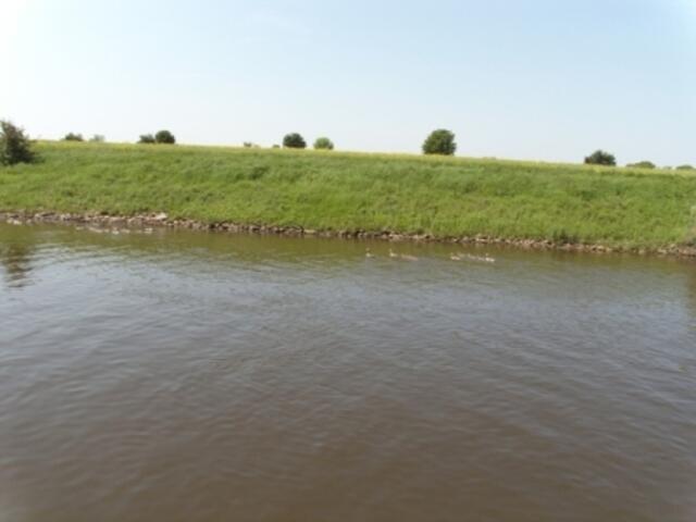 Tiere unterwegs