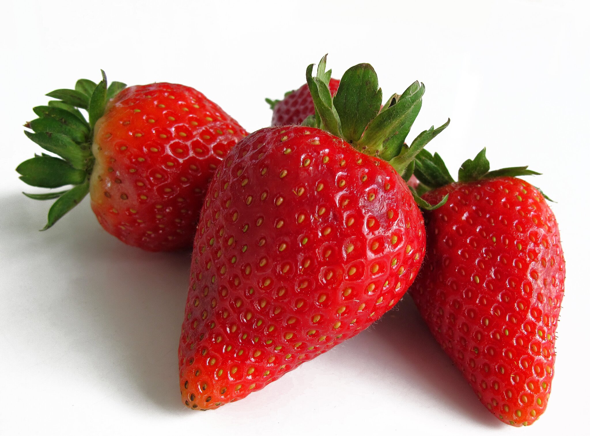 Erdbeertiramisu – Leckeres Sommergericht für die heißen Tage ...