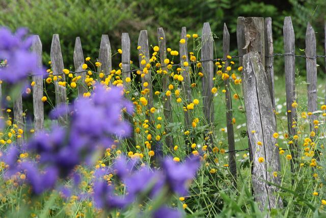 Ähnlichkeit mit einem Bauerngarten