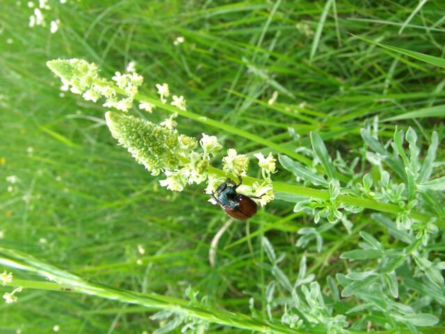 ... ein idealer Treff