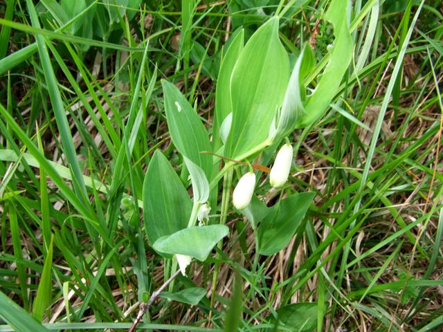 ... da fühlt man sich sicher