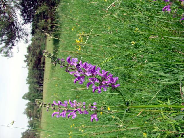 Sie weisen den Weg ...