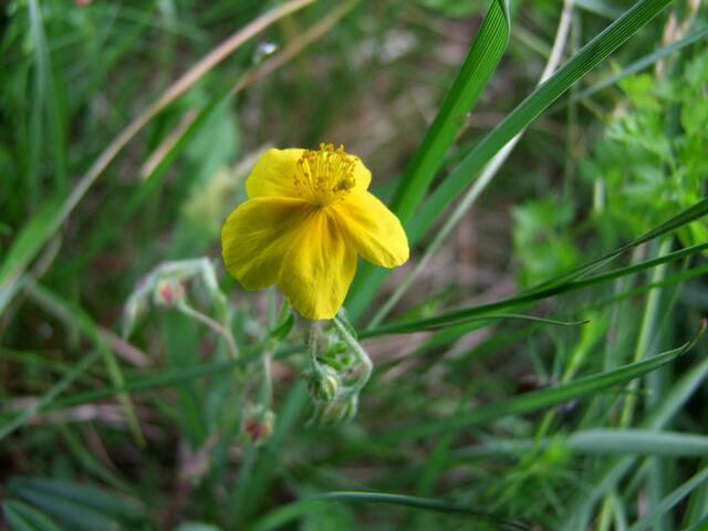 So ganz im Verborgenen ...