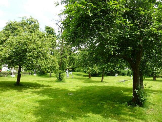 Ein Blick nach vorn...