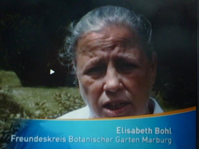 Der "Freundeskreis Botanischer Garten Marburg" (Elisabeth Bohl) klagte dem hr sein Leid. Video-Bild a&s-W.H. 15/6/10.