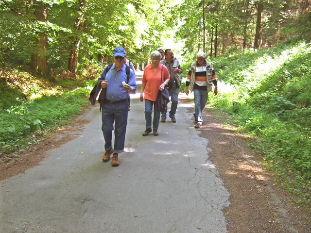 Aufstieg von Wennigser Mark zum Anna-Turm