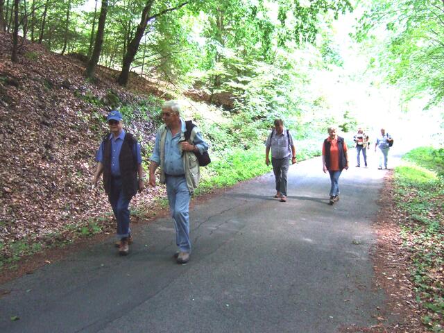 Aufstieg von Wennigser Mark zum Anna-Turm